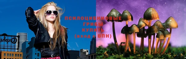 молекула духа Алзамай