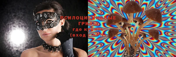 индика Алексеевка
