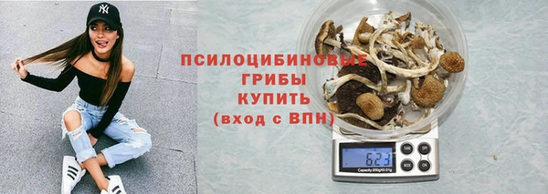 молекула духа Алзамай