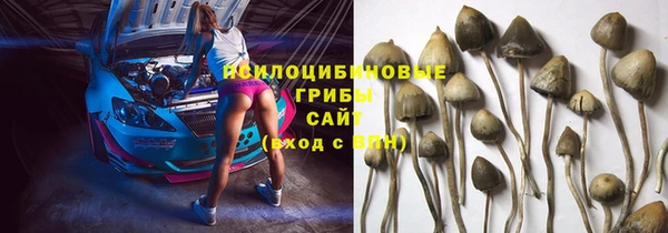 индика Алексеевка