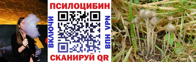 Галлюциногенные грибы Magic Shrooms  как найти наркотики  Алексин 